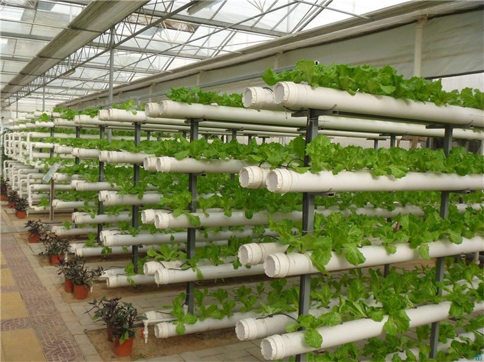 淮安市蔬菜大棚种植槽 - 方案