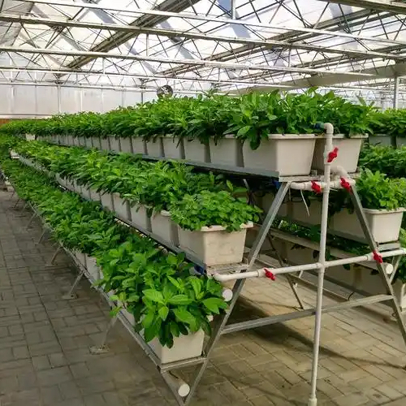淮安市植物工厂种植槽 - 方案